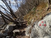 Anello del MONTE SAN MARTINO, sentinella della città di Lecco, l’11 gennaio 2020- FOTOGALLERY